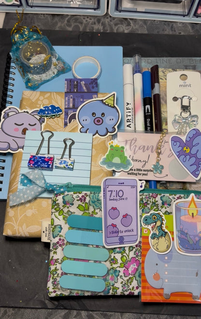 Mystery Bookish Bundle