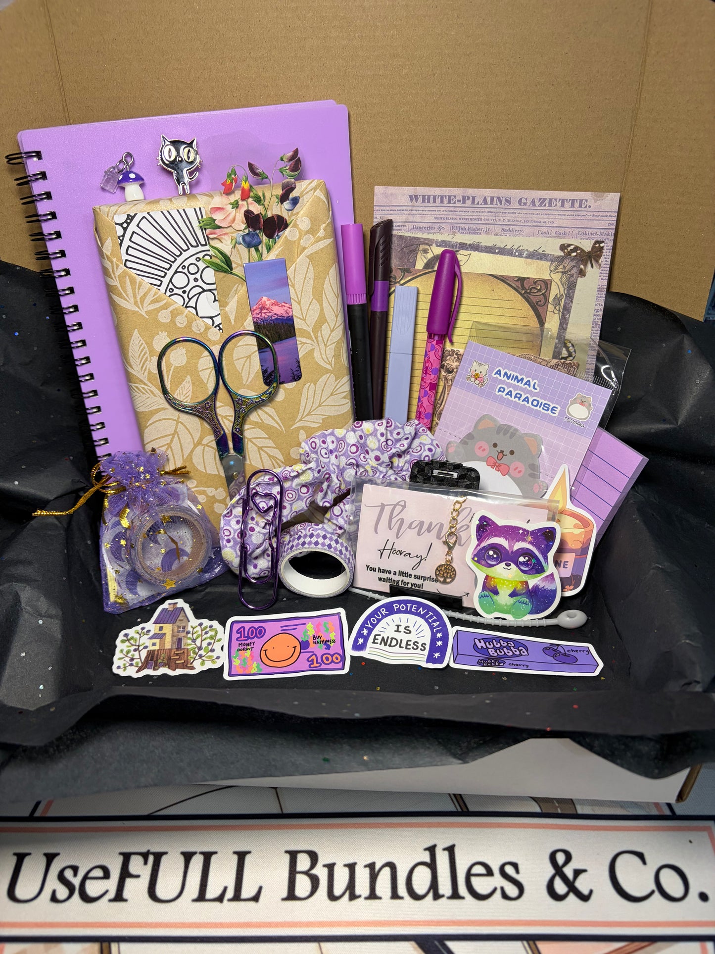 Mystery Bookish Bundle