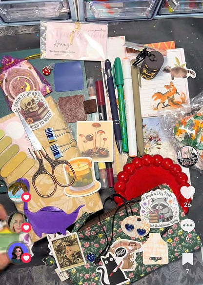 Mystery Bookish Bundle