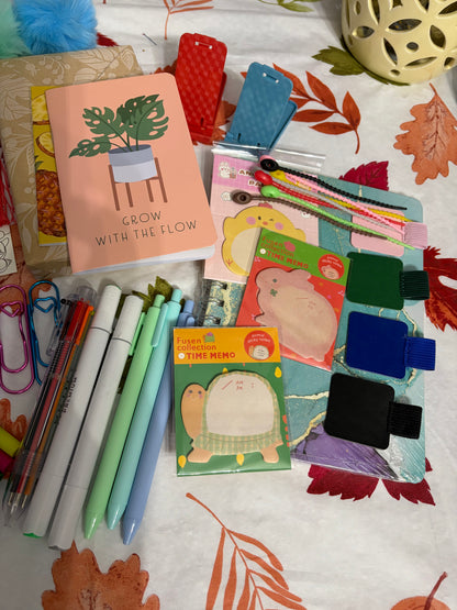 Mega Bookish/Journal Bundle